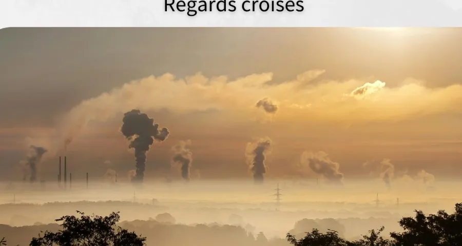 Affiche Journée études Ecocide