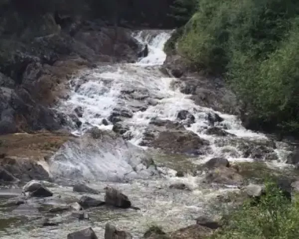 Le bassin versant de l'Yvel (56) est l'un des territoires concernés par le projet