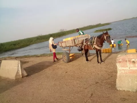 Visuel soutenance de thèse Kahdy Diouf